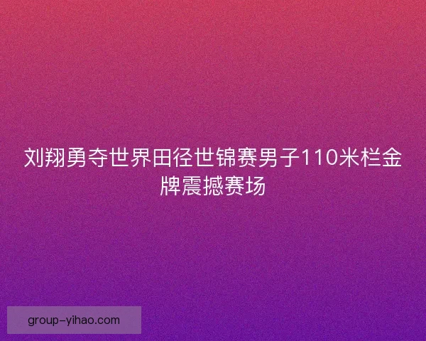 刘翔勇夺世界田径世锦赛男子110米栏金牌震撼赛场